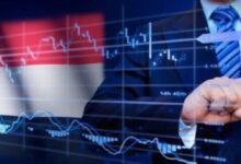 مجالات الاستثمار في مصر